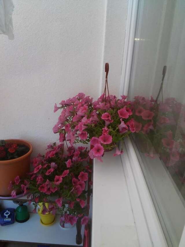 Апартаменты Apartman Bujišić Плужине-37